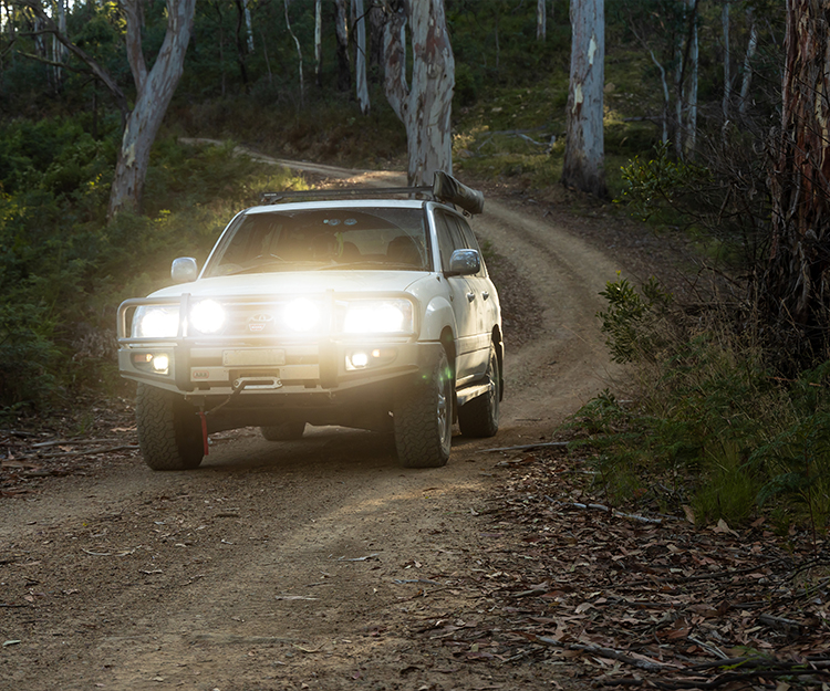 Adding to the visual muscle are wider fender extenders front and rear, heavy-duty front bash plates, side sills and a rear sports bar.