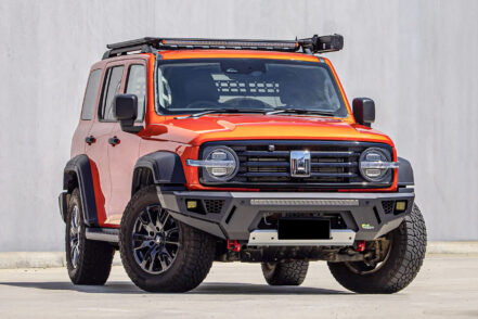 Ironman Raid Bull Bar & Lights Package for GWM Tank 300